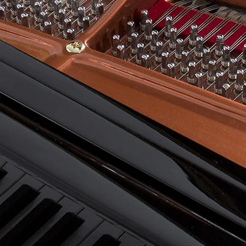 FEURICH 218 - "CONCERT I" (Chrome)