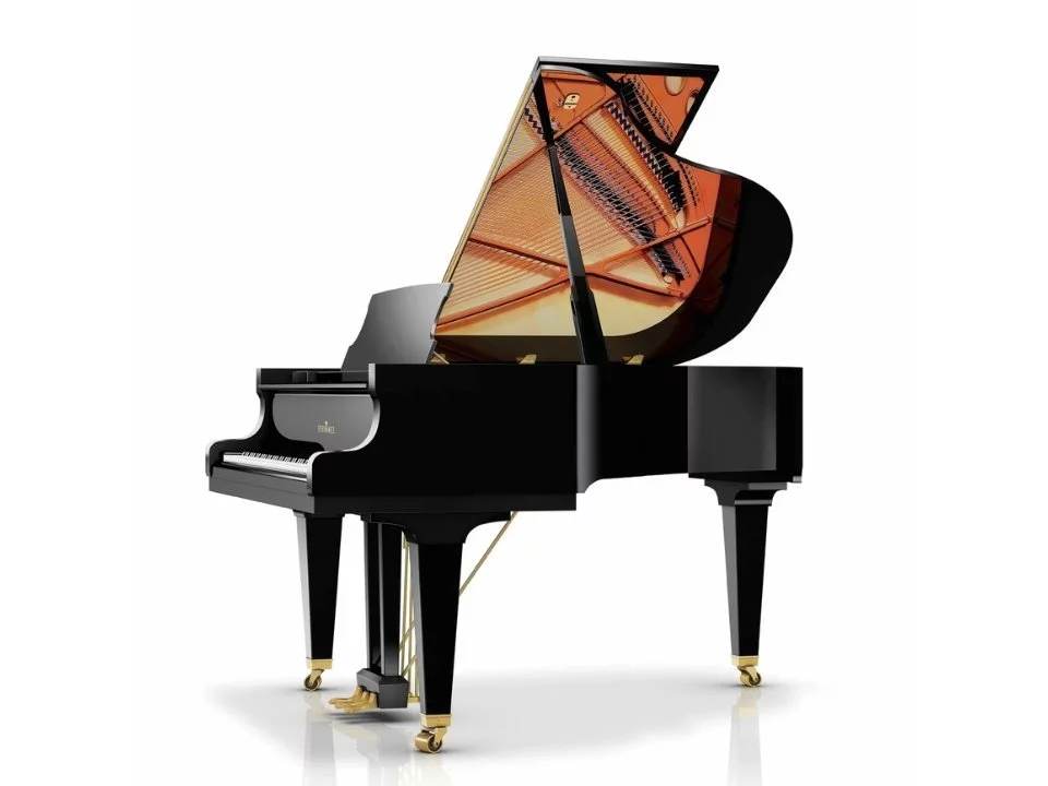 Fridolin Schimmel F156 Tradition (Ebony High Gloss)