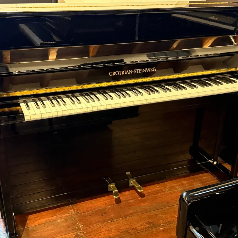 Friedrich Grotrian FG170