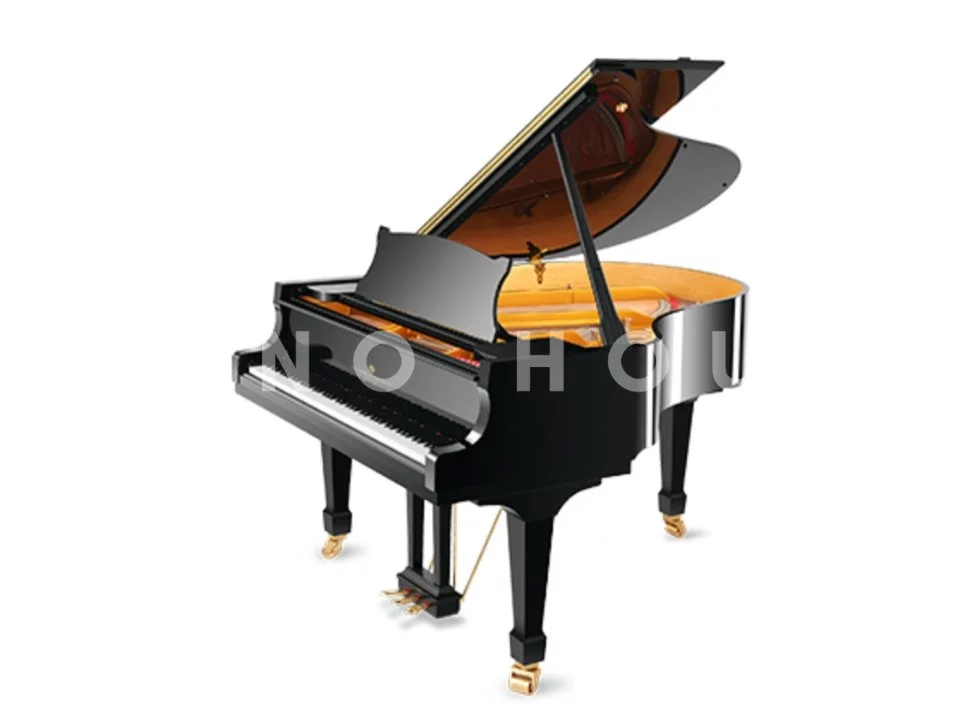 Friedrich Grotrian FG170