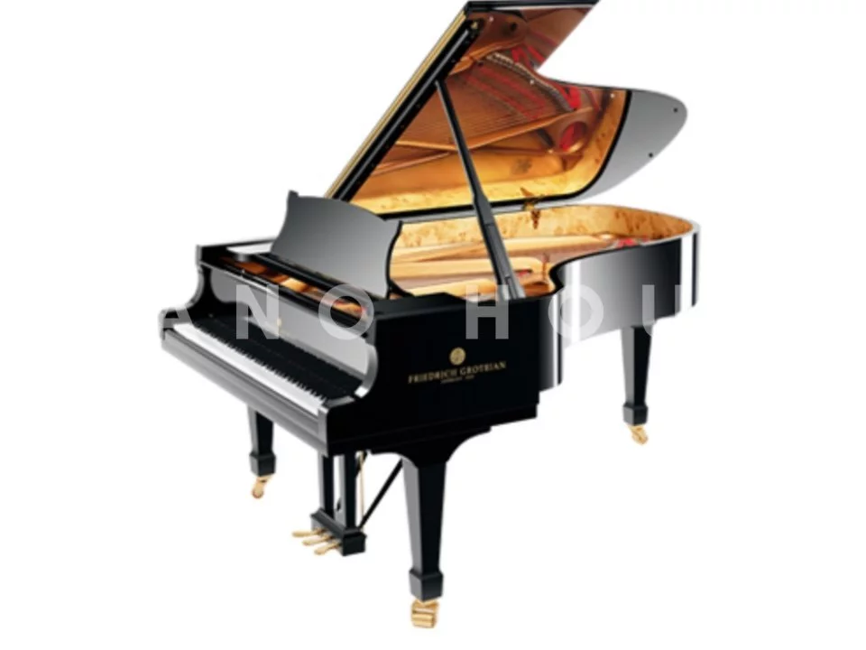 Friedrich Grotrian FG211