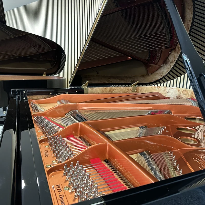 FEURICH 179 & DYNAMIC II (Black Polish & Brass)