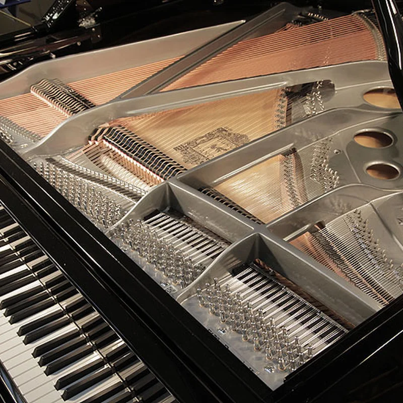 FEURICH 179 & DYNAMIC II (Black Polish & Brass)