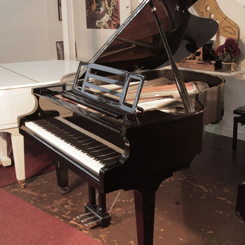 FEURICH 179 & DYNAMIC II (Black Polish & Brass)