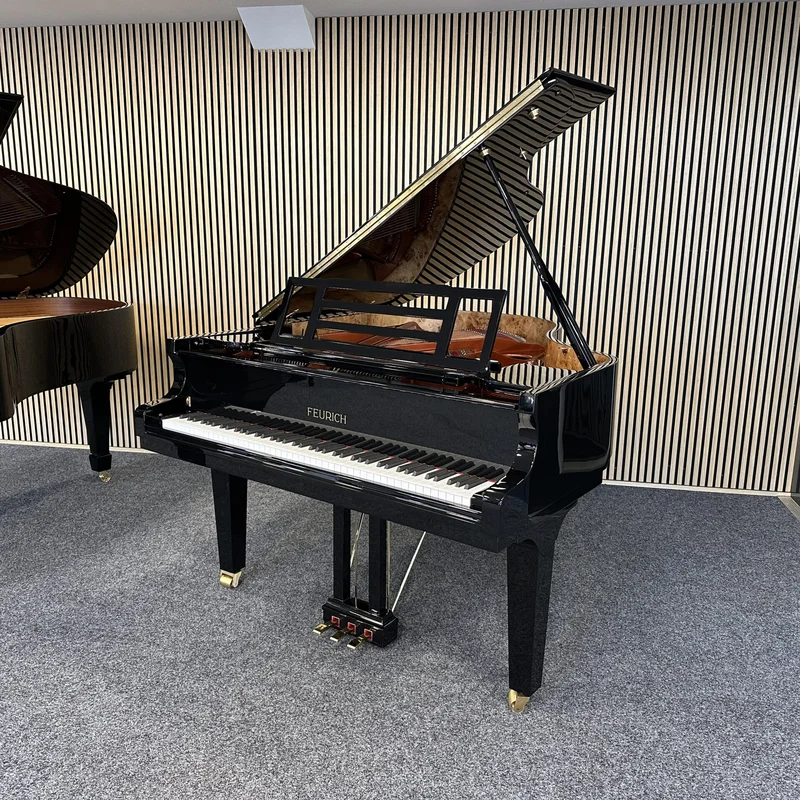 FEURICH 179 & DYNAMIC II (Black Polish & Brass)