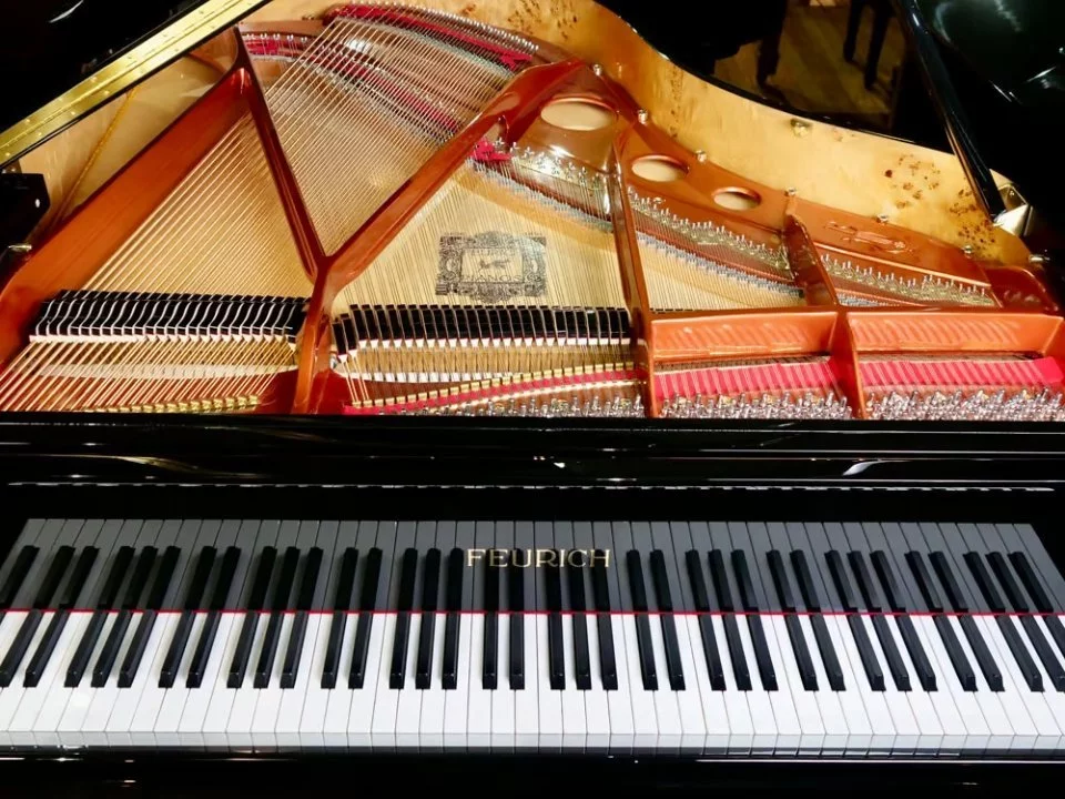 FEURICH 179 & DYNAMIC II (Black Polish & Brass)