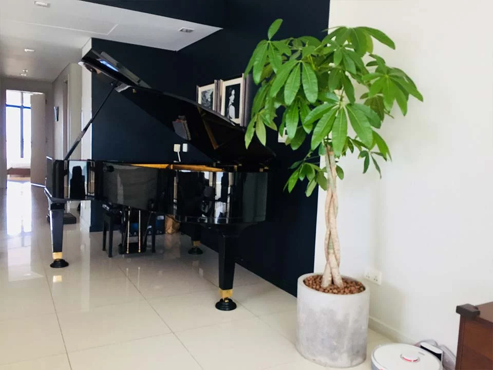 PIANO APOLLO A30