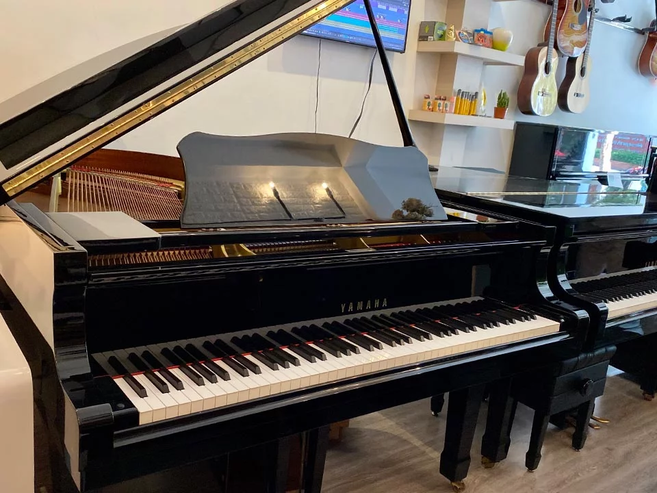 YAMAHA G5B (Seri 4.7)