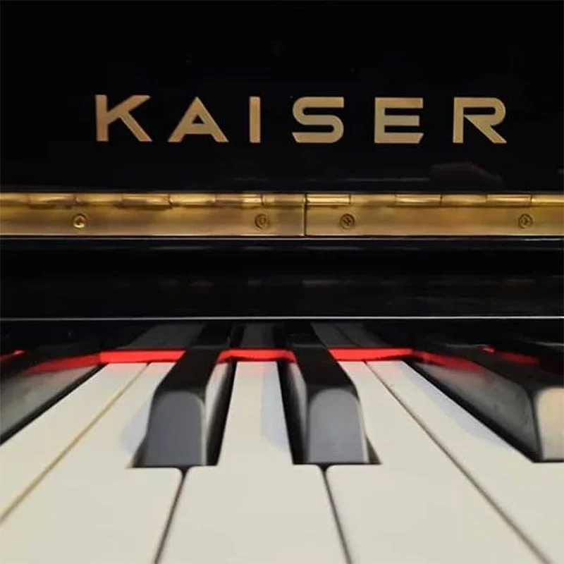 KAISER K2