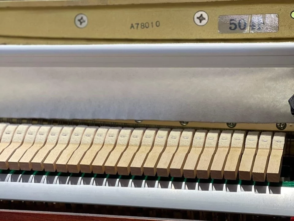 Kawai 504F