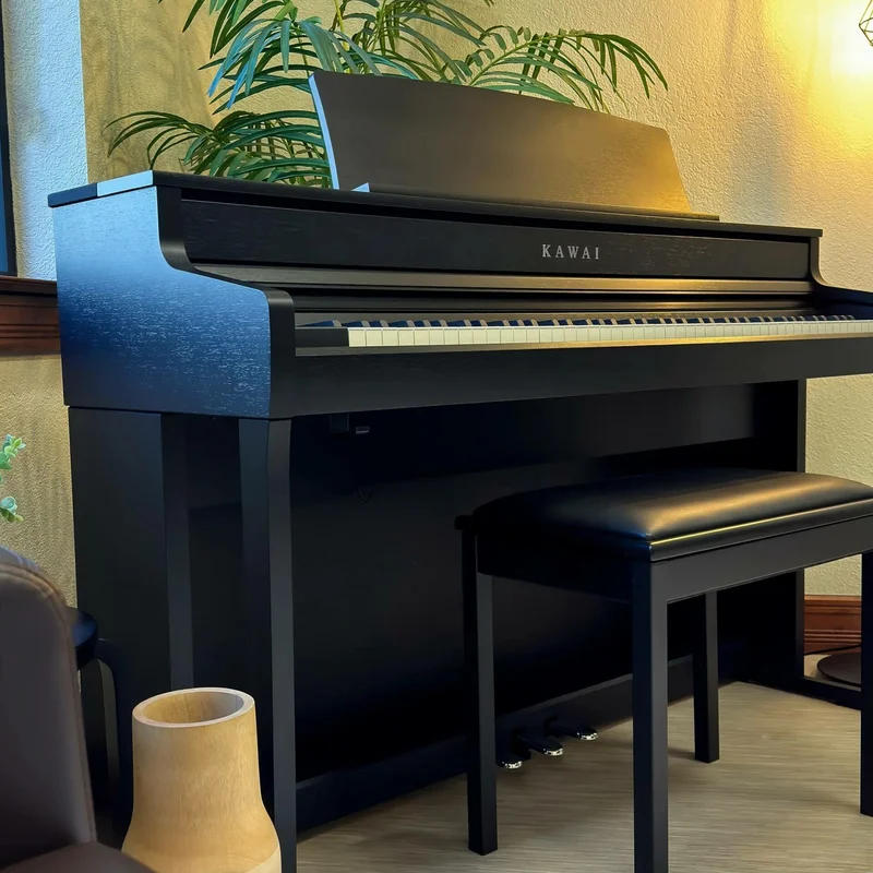 KAWAI CA501 A
