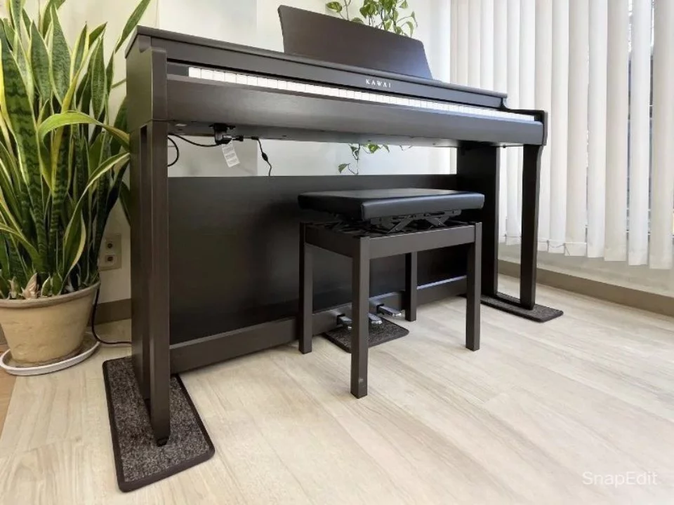 KAWAI CN29 DW