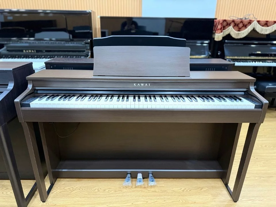 KAWAI CN29 DW