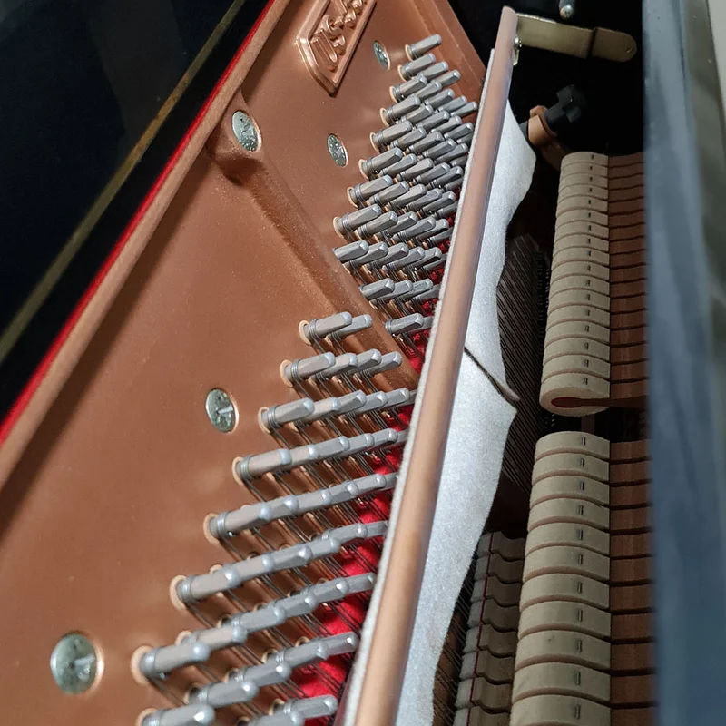 KAWAI DS-55 (Limited Edition)