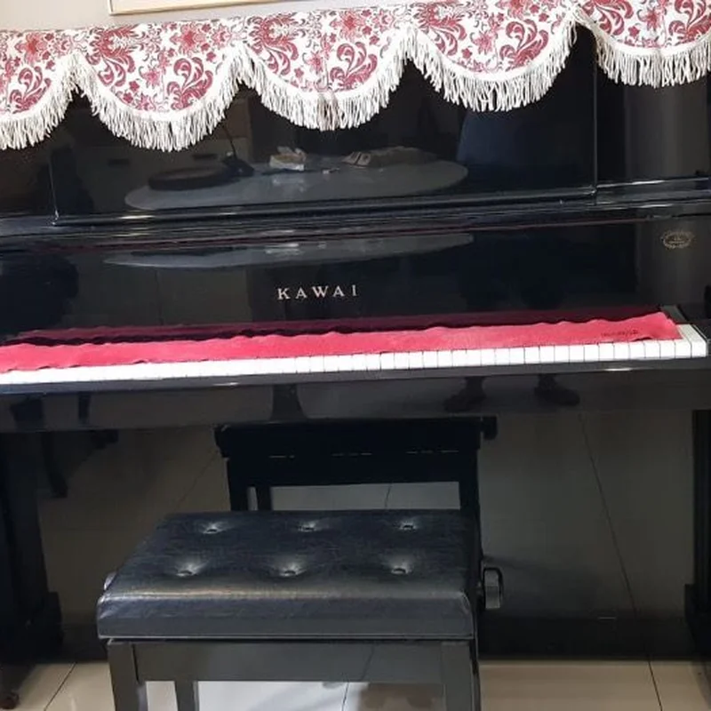 KAWAI DS-55 (Limited Edition)