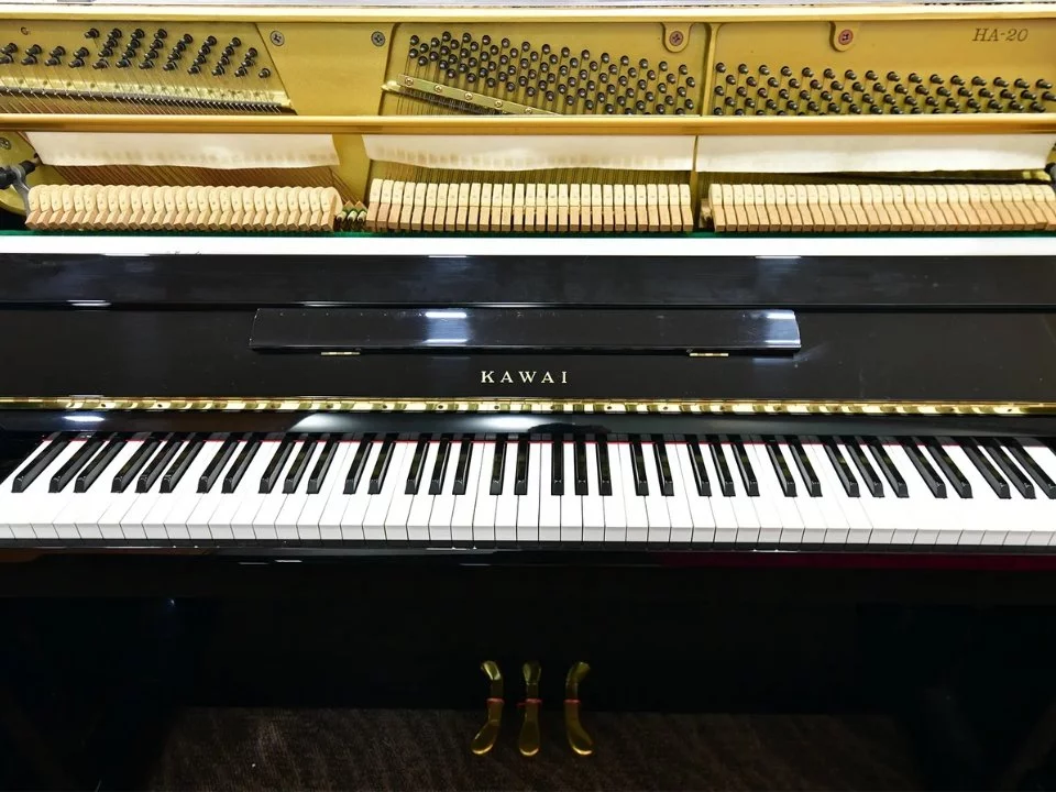 KAWAI HA-20W