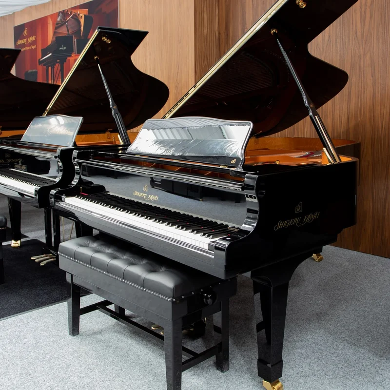 Shigeru Kawai  SK-6