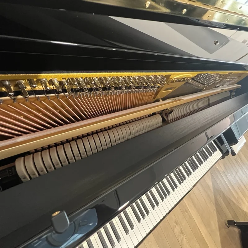 Konzert K132 Tradition (Mahogany Polish)