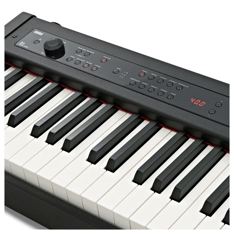 Korg D1