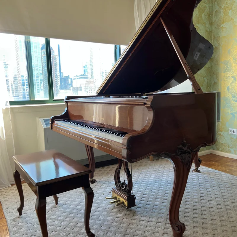 STEINWAY LOUIS XV - MODEL M
