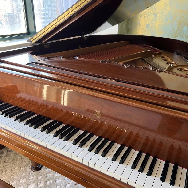 STEINWAY LOUIS XV - MODEL M