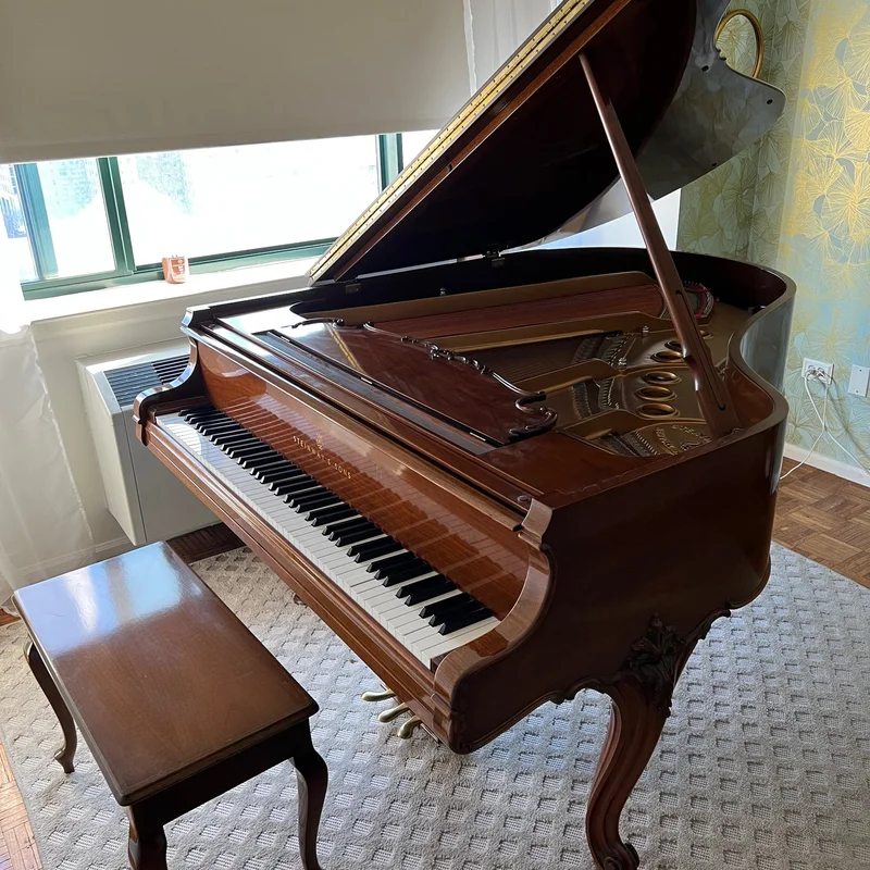 STEINWAY LOUIS XV - MODEL M