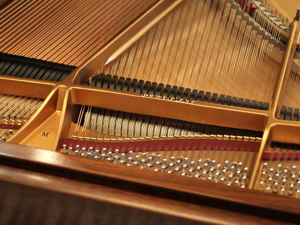 STEINWAY LOUIS XV - MODEL M