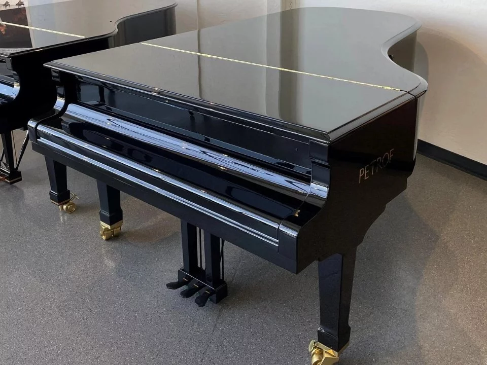 P-237 MONSOON (USED)