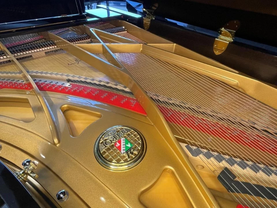 P-237 MONSOON (USED)