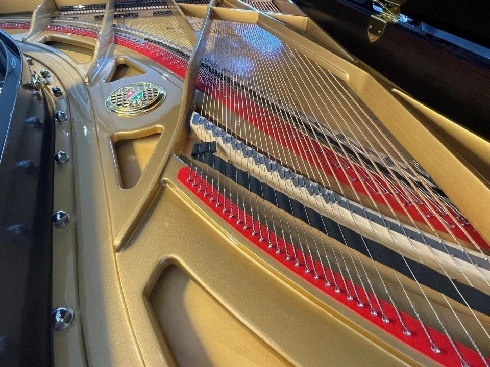 P-237 MONSOON (USED)