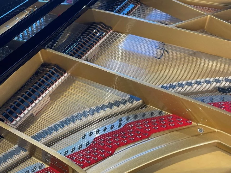 P-237 MONSOON (USED)