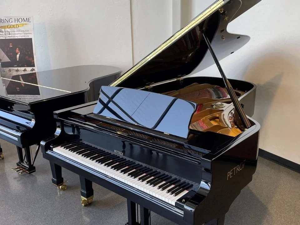 P-237 MONSOON (USED)