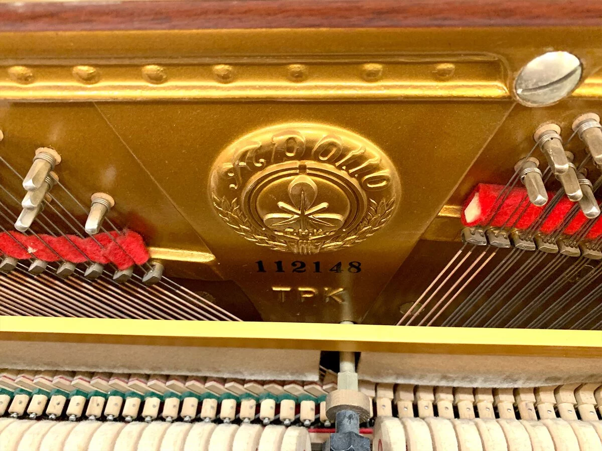 PIANO APOLLO A360