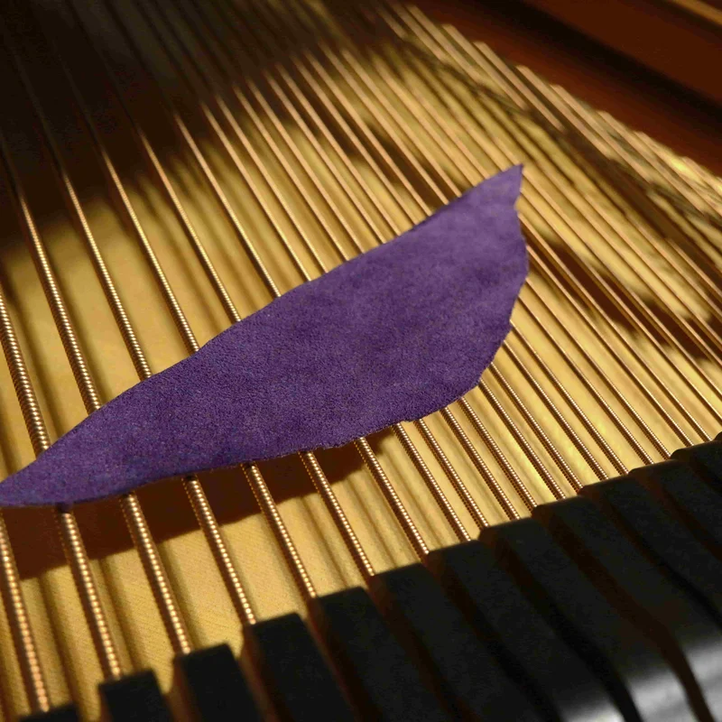 Prince's Purple Yamaha C7X SH Silent