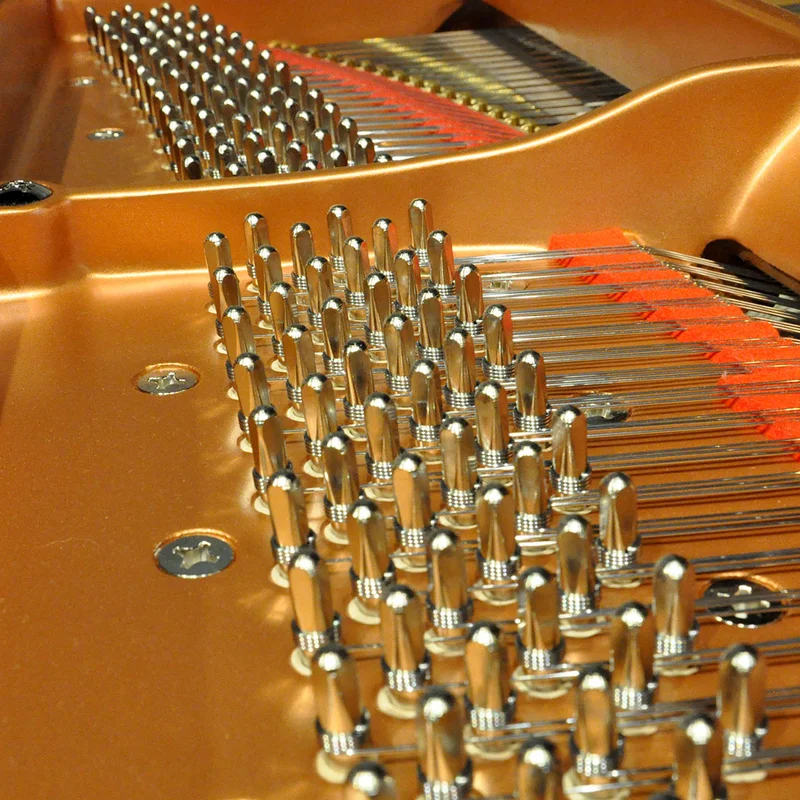 Prince's Purple Yamaha C7X SH Silent