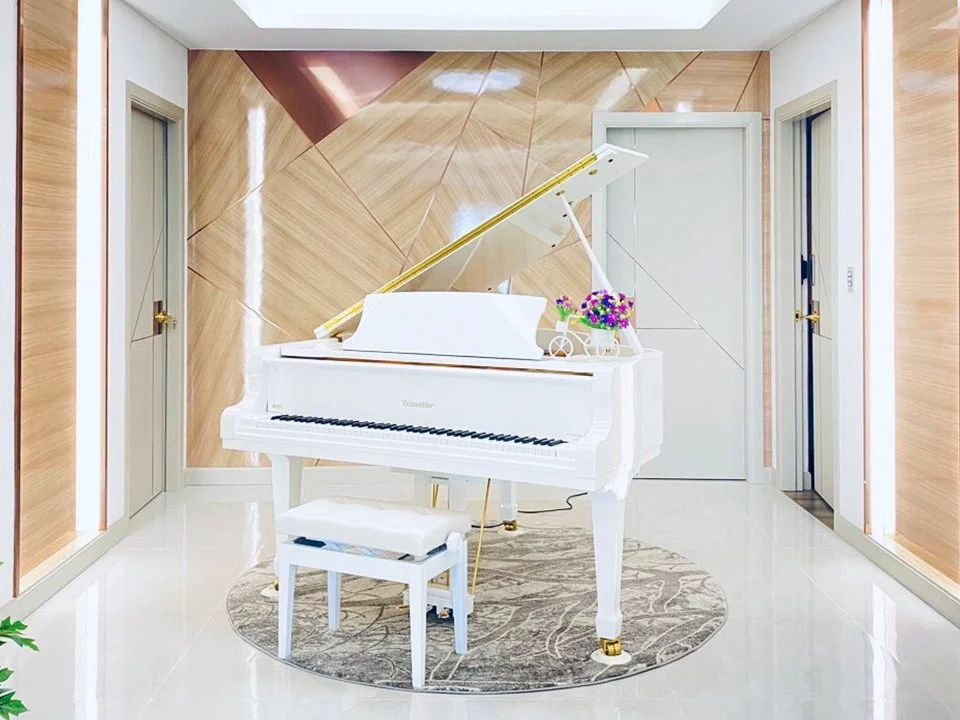 Ritmuller GDRS160 (+Piano Disc)