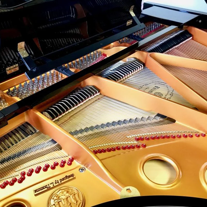 Ritmuller R8 BROWN [ SPECIAL COLOR]