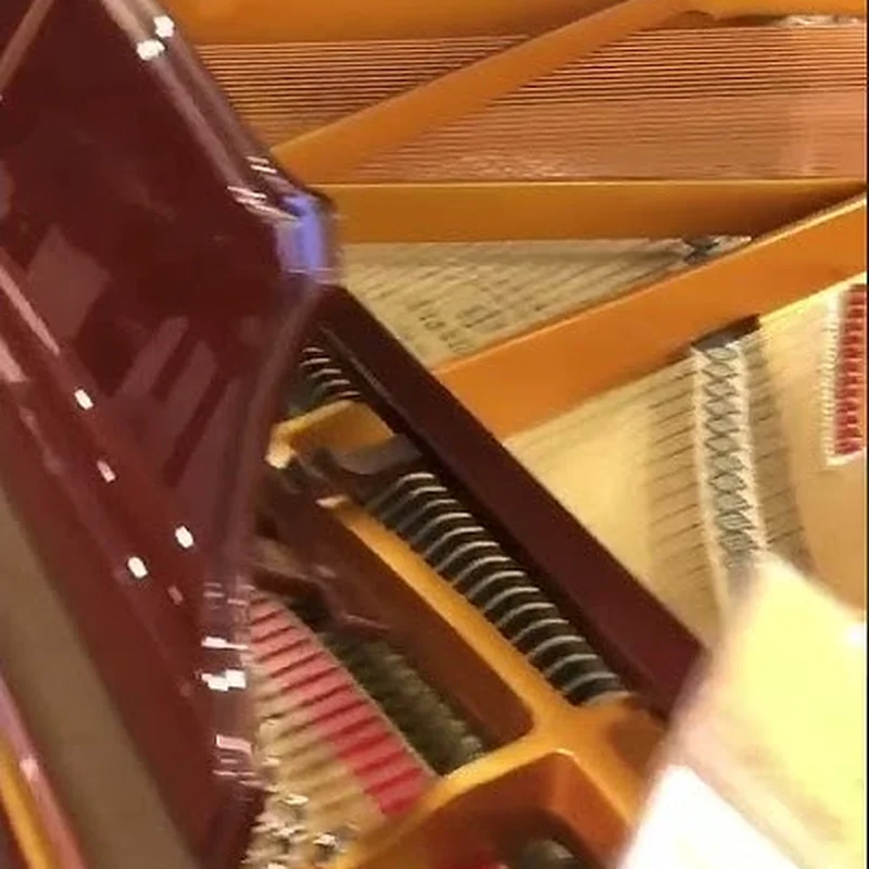 Ritmuller R8 BROWN [ SPECIAL COLOR]