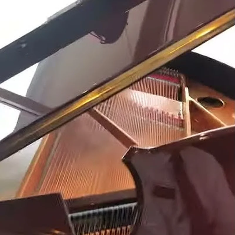 Ritmuller R8 BROWN [ SPECIAL COLOR]