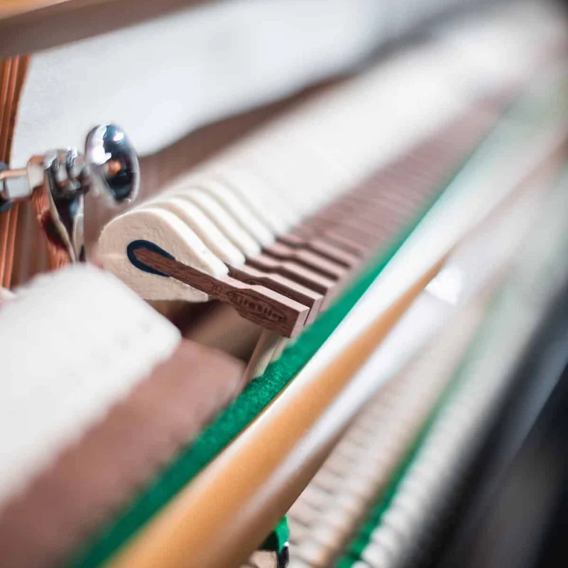 Ritmuller RS122 (Walnut Burl)