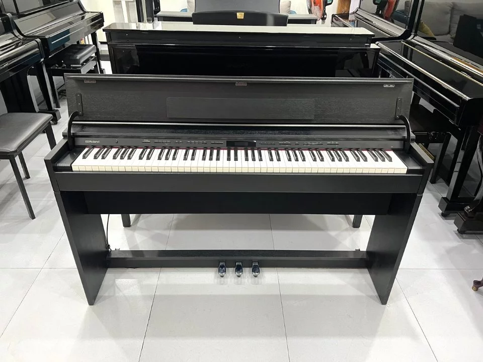 ROLAND DP-603 CBS (New)