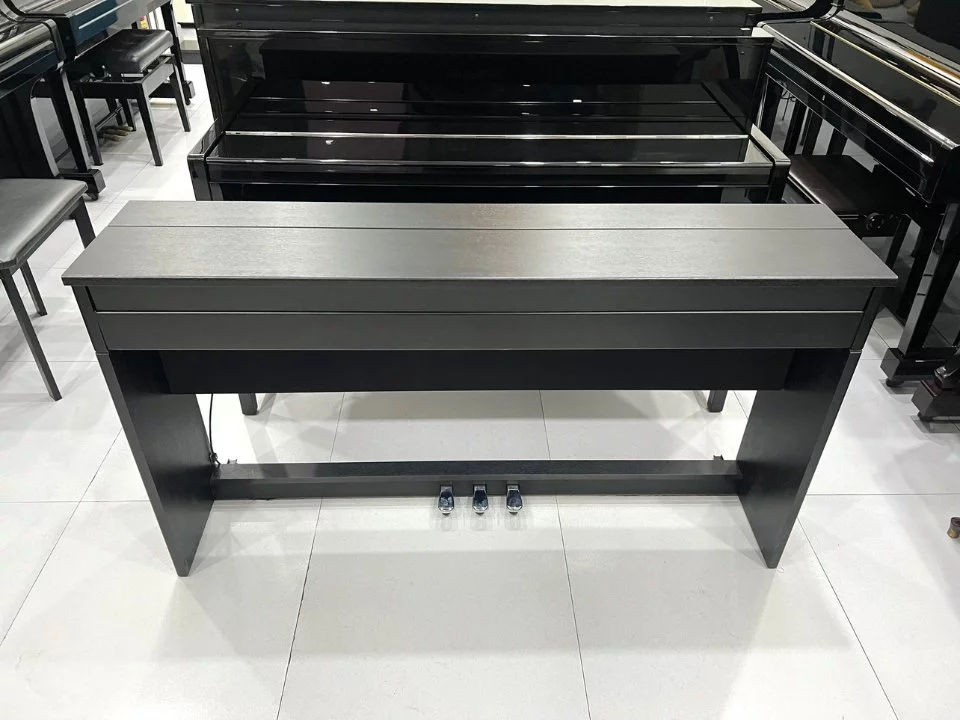 ROLAND DP-603 CBS (New)