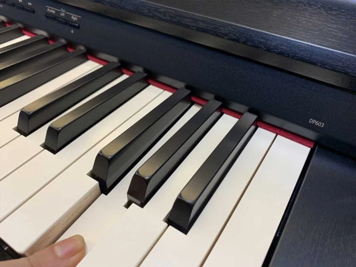 ROLAND DP-603 CBS (New)