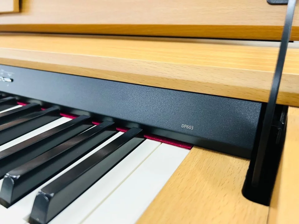 ROLAND DP-603 NBS