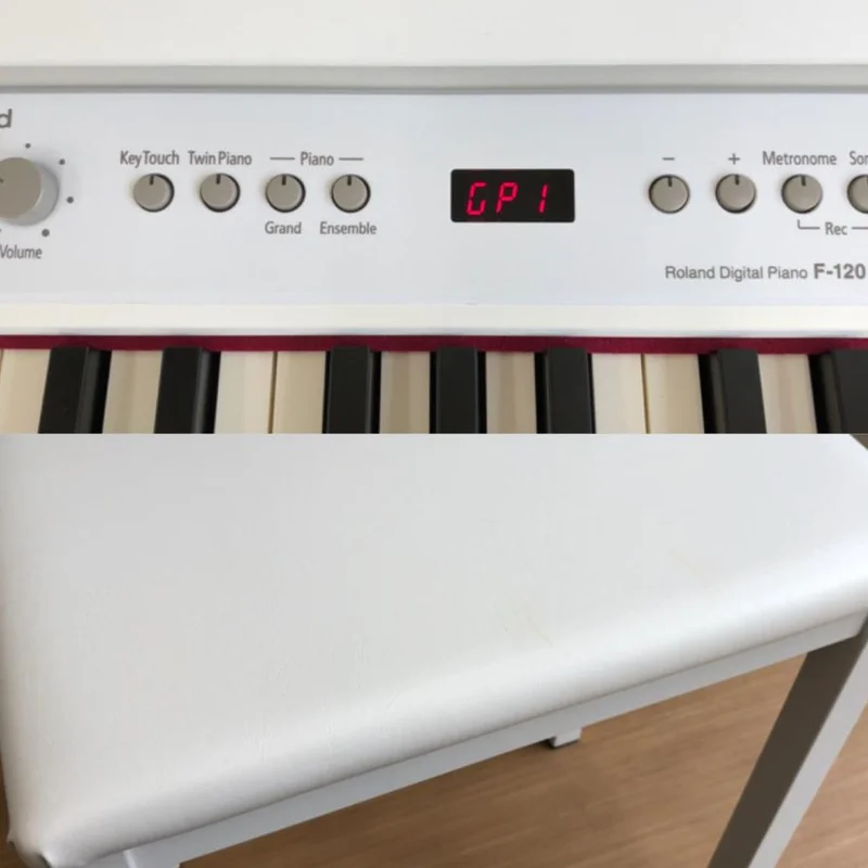 ROLAND F-120 WH
