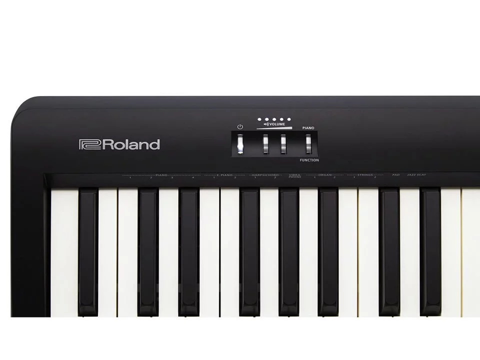 ROLAND FP-10