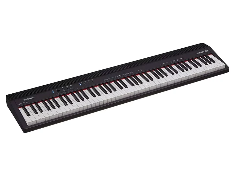 Roland Go 88-P