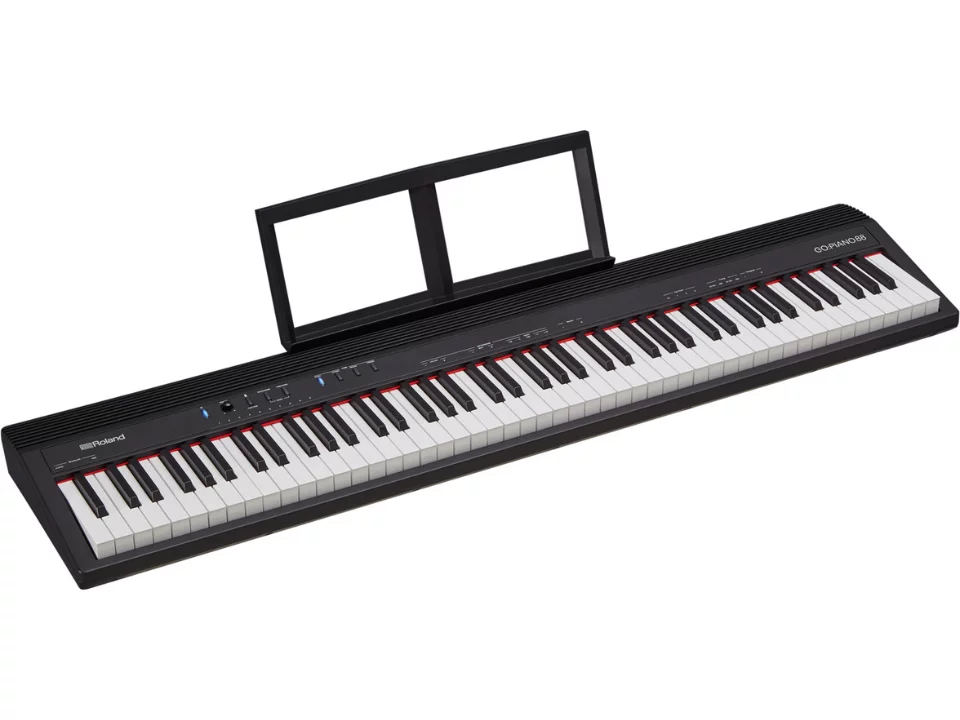 Roland Go 88-P