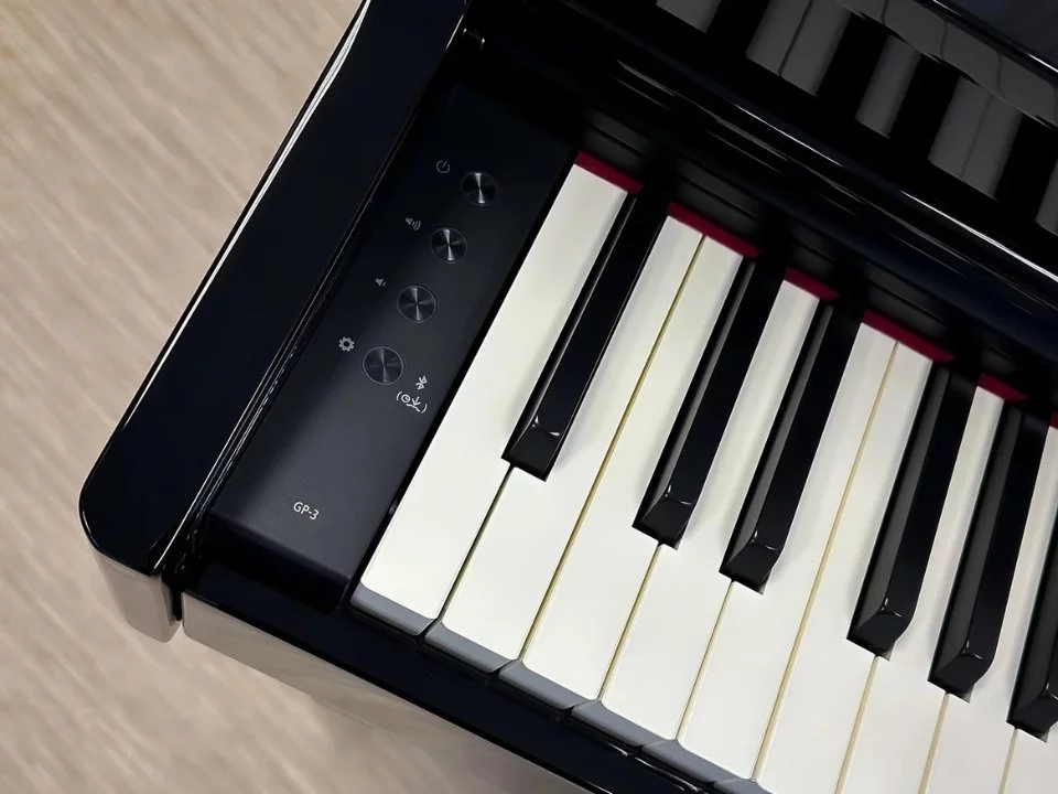 ROLAND GP-3 PE (Used)