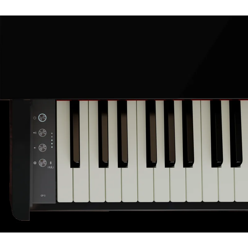 ROLAND GP-3 PW